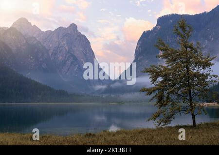 Lago di Dobbiaco all'alba d'estate, Sud Tirolo, Italia, Europa Foto Stock