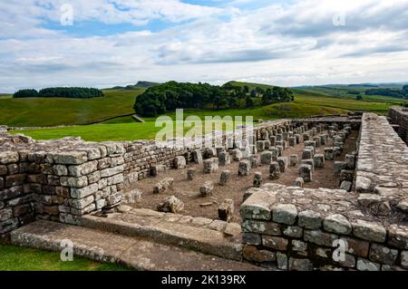 Housesteads Roman Fort, Vercovicium, 124 d.C., Granary che mostra la disposizione per il riscaldamento del pavimento, parete di Adriano Foto Stock