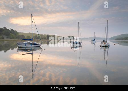 Barche a vela ormeggiate sul fiume Tiddy all'alba in primavera, St. Germany, Cornovaglia, Inghilterra, Regno Unito, Europa Foto Stock