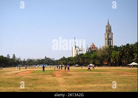 Almeno cinque partite di cricket in corso sull'Azad Maidan, precedentemente noto come Bombay Gymkhana Maidan nel centro della città, Mumbai, India, Asia Foto Stock