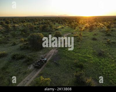 Tramonto su Safari in auto nella Riserva Naturale privata di Timbavati, Parco Nazionale di Kruger, Sud Africa, Africa Foto Stock