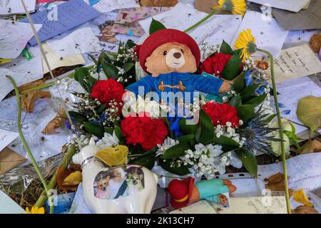 Green Park, Londra, Regno Unito. 14th Settembre 2022. Uno dei tanti orsi di Paddington ha lasciato con i fiori. Migliaia di lutto sono venuti a vedere le spettacolari esposizioni floreali di oggi. A seguito della triste morte di sua Maestà la Regina, sono stati lasciati bellissimi tributi floreali dai lutto a Green Park vicino a Buckingham Palace. Anche i fiori che sono stati lasciati fuori dalle Buckingham Palace Gates sono stati trasferiti lì. Credit: Maureen McLean/Alamy Live News Foto Stock