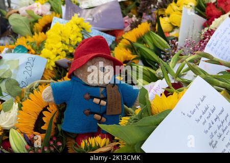 Green Park, Londra, Regno Unito. 14th Settembre 2022. Uno dei tanti orsi di Paddington ha lasciato con i fiori. Migliaia di lutto sono venuti a vedere le spettacolari esposizioni floreali di oggi. A seguito della triste morte di sua Maestà la Regina, sono stati lasciati bellissimi tributi floreali dai lutto a Green Park vicino a Buckingham Palace. Anche i fiori che sono stati lasciati fuori dalle Buckingham Palace Gates sono stati trasferiti lì. Credit: Maureen McLean/Alamy Live News Foto Stock