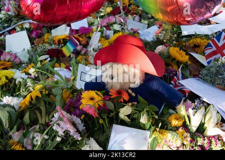 Green Park, Londra, Regno Unito. 14th Settembre 2022. Uno dei tanti orsi di Paddington ha lasciato con i fiori. Migliaia di lutto sono venuti a vedere le spettacolari esposizioni floreali di oggi. A seguito della triste morte di sua Maestà la Regina, sono stati lasciati bellissimi tributi floreali dai lutto a Green Park vicino a Buckingham Palace. Anche i fiori che sono stati lasciati fuori dalle Buckingham Palace Gates sono stati trasferiti lì. Credit: Maureen McLean/Alamy Live News Foto Stock