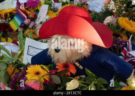 Green Park, Londra, Regno Unito. 14th Settembre 2022. Uno dei tanti orsi di Paddington ha lasciato con i fiori. Migliaia di lutto sono venuti a vedere le spettacolari esposizioni floreali di oggi. A seguito della triste morte di sua Maestà la Regina, sono stati lasciati bellissimi tributi floreali dai lutto a Green Park vicino a Buckingham Palace. Anche i fiori che sono stati lasciati fuori dalle Buckingham Palace Gates sono stati trasferiti lì. Credit: Maureen McLean/Alamy Live News Foto Stock