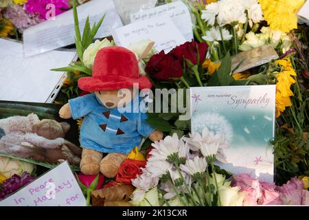 Green Park, Londra, Regno Unito. 14th Settembre 2022. Uno dei tanti orsi di Paddington ha lasciato con i fiori. Migliaia di lutto sono venuti a vedere le spettacolari esposizioni floreali di oggi. A seguito della triste morte di sua Maestà la Regina, sono stati lasciati bellissimi tributi floreali dai lutto a Green Park vicino a Buckingham Palace. Anche i fiori che sono stati lasciati fuori dalle Buckingham Palace Gates sono stati trasferiti lì. Credit: Maureen McLean/Alamy Live News Foto Stock