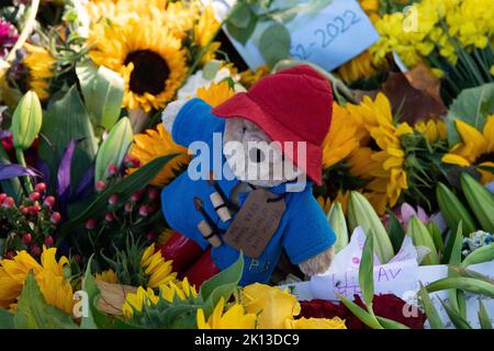 Green Park, Londra, Regno Unito. 14th Settembre 2022. Uno dei tanti orsi di Paddington ha lasciato con i fiori. Migliaia di lutto sono venuti a vedere le spettacolari esposizioni floreali di oggi. A seguito della triste morte di sua Maestà la Regina, sono stati lasciati bellissimi tributi floreali dai lutto a Green Park vicino a Buckingham Palace. Anche i fiori che sono stati lasciati fuori dalle Buckingham Palace Gates sono stati trasferiti lì. Credit: Maureen McLean/Alamy Live News Foto Stock