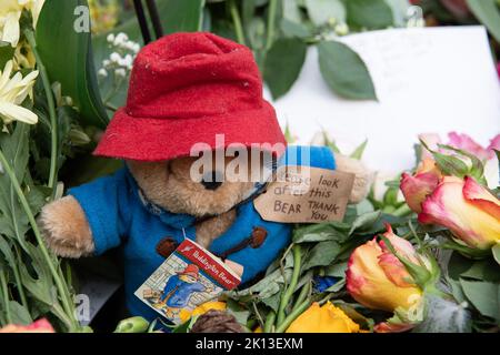 Green Park, Londra, Regno Unito. 14th Settembre 2022. Uno dei tanti orsi di Paddington ha lasciato con i fiori. Migliaia di lutto sono venuti a vedere le spettacolari esposizioni floreali di oggi. A seguito della triste morte di sua Maestà la Regina, sono stati lasciati bellissimi tributi floreali dai lutto a Green Park vicino a Buckingham Palace. Anche i fiori che sono stati lasciati fuori dalle Buckingham Palace Gates sono stati trasferiti lì. Credit: Maureen McLean/Alamy Live News Foto Stock