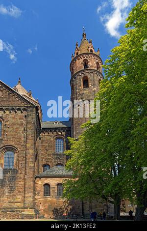 Dom Sankt Peter, erbaut 12. Jahrhundert, Südseite *** Caption locale *** Europa, Germania, Renania-Palatinato, Worms, Domplatz, Schum-City, Dom Sankt Foto Stock