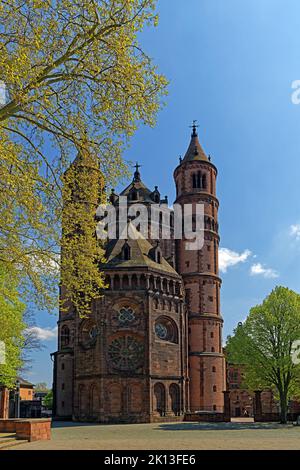 Dom Sankt Peter, erbaut 12. Jahrhundert *** Caption locale *** Europa, Germania, Renania-Palatinato, Worms, Platz der Partnerschaft, Schum-City, Dom Foto Stock