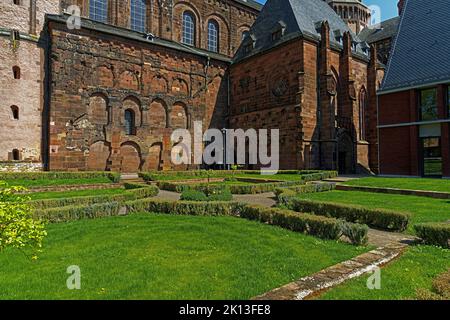 Dom Sankt Peter, erbaut 12. Jahrhundert, Domgarten *** Caption locale *** Europa, Germania, Renania-Palatinato, Worms, Schloßgasse, Schum-City, Cathè Foto Stock