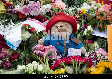 Green Park, Londra, Regno Unito. 14th Settembre 2022. Uno dei tanti orsi di Paddington ha lasciato con i fiori. Migliaia di lutto sono venuti a vedere le spettacolari esposizioni floreali di oggi. A seguito della triste morte di sua Maestà la Regina, sono stati lasciati bellissimi tributi floreali dai lutto a Green Park vicino a Buckingham Palace. Anche i fiori che sono stati lasciati fuori dalle Buckingham Palace Gates sono stati trasferiti lì. Credit: Maureen McLean/Alamy Live News Foto Stock