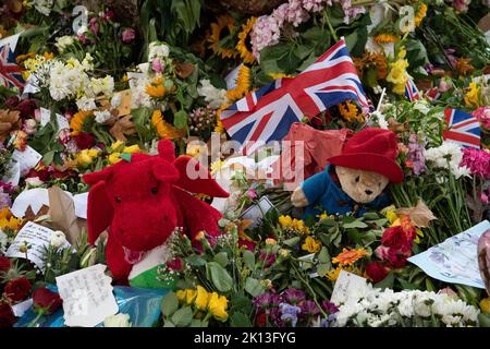 Green Park, Londra, Regno Unito. 14th Settembre 2022. Uno dei tanti orsi di Paddington ha lasciato con i fiori. Migliaia di lutto sono venuti a vedere le spettacolari esposizioni floreali di oggi. A seguito della triste morte di sua Maestà la Regina, sono stati lasciati bellissimi tributi floreali dai lutto a Green Park vicino a Buckingham Palace. Anche i fiori che sono stati lasciati fuori dalle Buckingham Palace Gates sono stati trasferiti lì. Credit: Maureen McLean/Alamy Live News Foto Stock