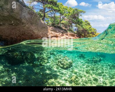 Split view - vista a metà sottomarina di splendidi fondali marini e costa rocciosa con pini, tacchino, Bodrum. Foto Stock