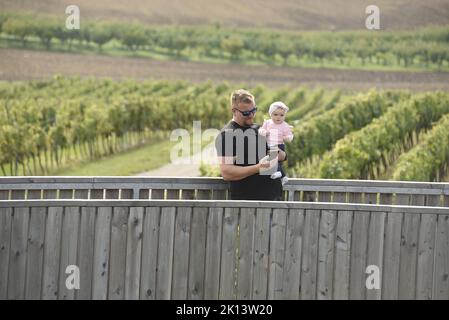 La passeggiata sopra i vigneti con torre panoramica si trova vicino al villaggio di Kobyli sulla collina di Kobyli vrch, Repubblica Ceca, 13 settembre 2022. (CT Foto Stock