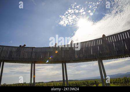 La passeggiata sopra i vigneti con torre panoramica si trova vicino al villaggio di Kobyli sulla collina di Kobyli vrch, Repubblica Ceca, 13 settembre 2022. (CT Foto Stock
