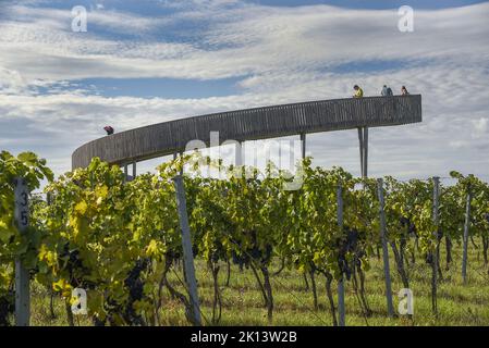 La passeggiata sopra i vigneti con torre panoramica si trova vicino al villaggio di Kobyli sulla collina di Kobyli vrch, Repubblica Ceca, 13 settembre 2022. (CT Foto Stock