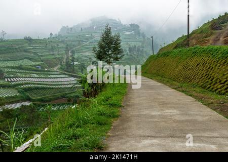 Una piccola strada che attraversa un'area agricola piantata di ortaggi, lo sfondo è un paio di case sulle pendici di una montagna e la nebbia sta cadendo, un RU Foto Stock