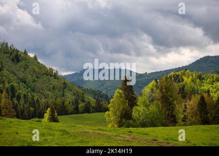 Paesaggio primaverile di prati e boschi. Il parco nazionale dell'altopiano di Muranska planina nella Slovacchia centrale, in Europa. Foto Stock