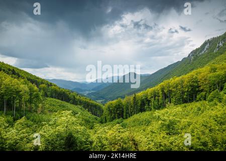 Paesaggio primaverile nuvoloso di colline e foreste. Il parco nazionale dell'altopiano di Muranska planina nella Slovacchia centrale, in Europa. Foto Stock