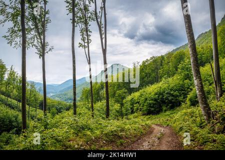 Paesaggio primaverile nuvoloso di colline e foreste. Il parco nazionale dell'altopiano di Muranska planina nella Slovacchia centrale, in Europa. Foto Stock