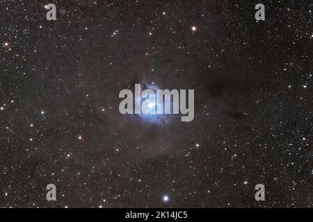 Iris nebulae, NGC 6930, nebulosa, astrofotografia Foto Stock