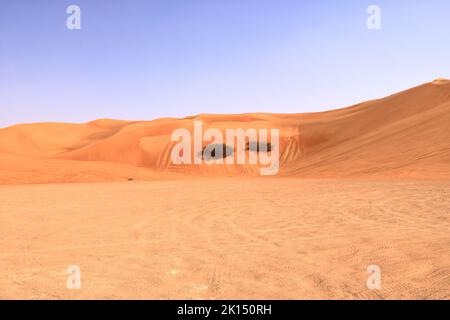 Dune di sabbia e piante desertiche le Wahiba Sands, il bellissimo deserto dell'Oman Foto Stock