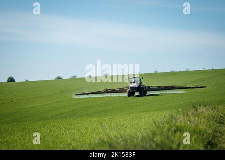 Trattore che spruzza insetticida a campo. Attività agricola in primavera. Terreno coltivato in campagna Foto Stock