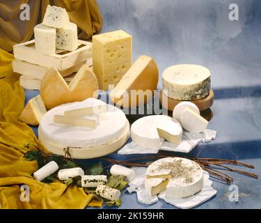 Gruppo di formaggi francesi a colori fotografia su fresco, grigio-blu sfondo chiazzato. foto da tavolo da studio. Con il filtro stile di disegno di Photoshop. Foto Stock