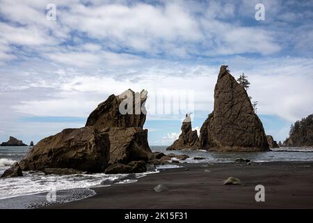 WA22013-00...WASHINGTON - marea entrante intorno alle pile di mare sulla spiaggia di Rialto; parte della parte della costa nord della Wilderness del Parco Nazionale Olimpico. Foto Stock