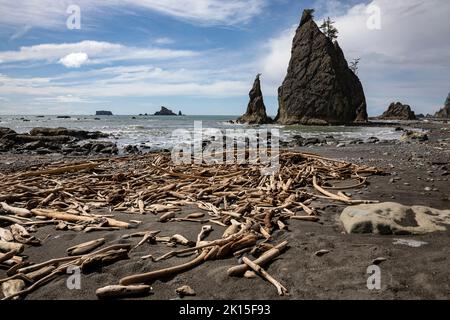 WA22021-00...WASHINGTON - Driftwood sulla spiaggia di Rialto vicino a Hole-in-the-Wall sulla costa del Pacifico nel Parco Nazionale Olimpico. Foto Stock