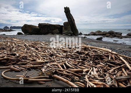 WA22022-00...WASHINGTON - Driftwood sulla spiaggia di Rialto, vicino a un lungomare raccolto nel Parco Nazionale Olimpico. Foto Stock