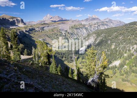 Il Death Canyon si snoda sotto la Shelf del Death Canyon lungo il Teton Crest Trail. Grand Teton National Park, Wyoming Foto Stock