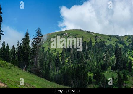 Fitte nuvole bianche che galleggiano su valle erbosa e montagne con alberi verdi il giorno d'estate in altopiani Foto Stock