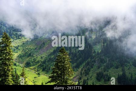 Vista del drone di fitte nuvole bianche che galleggiano su valle erbosa e montagne con alberi verdi il giorno d'estate in altopiani Foto Stock