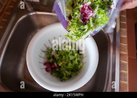 Vista dall'alto della persona che mette le foglie di lattuga dal sacchetto nel colander di plastica bianco in cucina Foto Stock