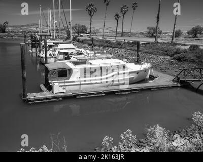 Barche nel porto, Napa Valley Marina circondata da palme e colline sullo sfondo. Foto Stock