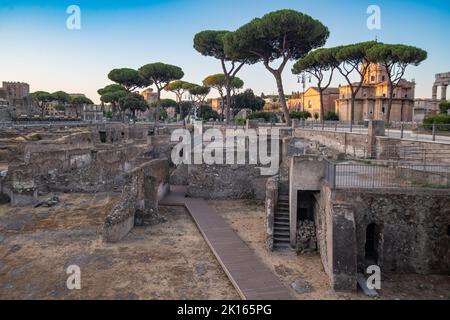 Scavo archeologico romano - antiche rovine di Roma Foro di Traiano Santi Luca e Martina pareti archeologiche pini di pietra italiana Pinus pinea al sito storico Foto Stock