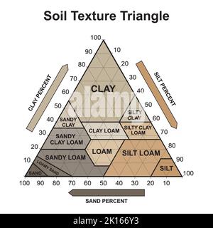 Triangolo della tessitura del suolo. Struttura biologica della terra. Soil Chart Percent Category (Categoria percentuale Illustrazione vettoriale. Illustrazione Vettoriale