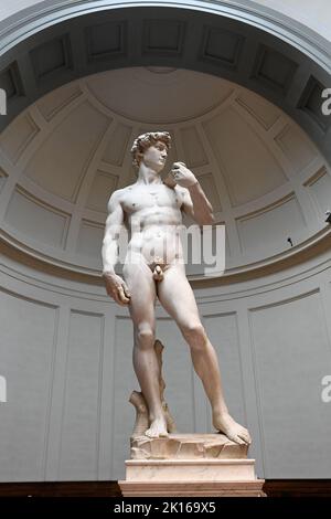 Statua del David Michelangelo famosa scultura in marmo nella Galleria Dell Accademia di Firenze - Turismo e visite turistiche di Firenze - Michelangelos David Foto Stock