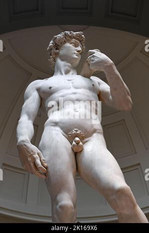 Statua del David Michelangelo famosa scultura in marmo nella Galleria Dell Accademia di Firenze - Turismo e visite turistiche di Firenze - Michelangelos David Foto Stock