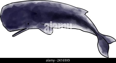 Illustrazione del vettore balena in stile spermatozoi disegnata a mano. Illustrazione Vettoriale