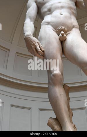 Statua del David Michelangelo famosa scultura in marmo nella Galleria Dell Accademia di Firenze - Turismo e visite turistiche di Firenze - Michelangelos David Foto Stock