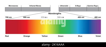 Progettazione scientifica dello spettro delle onde elettromagnetiche. Lo spettro luminoso. Simboli colorati. Illustrazione vettoriale. Illustrazione Vettoriale