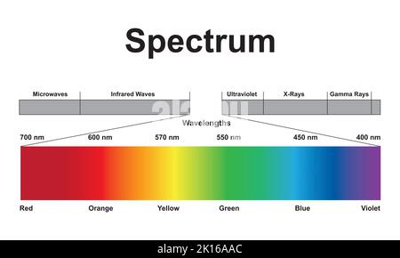 Progettazione scientifica dello spettro delle onde elettromagnetiche. Lo spettro luminoso. Simboli colorati. Illustrazione vettoriale. Illustrazione Vettoriale