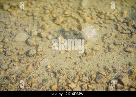 Piccolo frammento di ghiaccio di un ghiacciaio in Norvegia Foto Stock