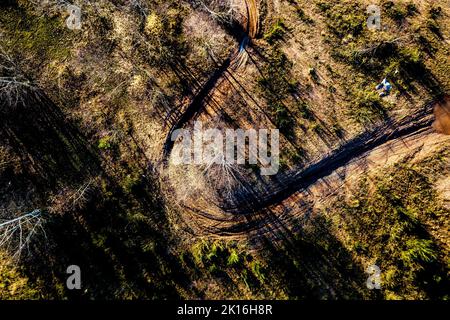 Drone di una strada sterrata nella foresta di Sherwood Foto Stock