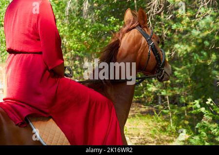 Clouse su di mano di cavaliere donna in vestito rosso e cavallo Foto Stock