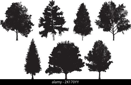 Set di silhouette ad albero in stile dotwork. Per la foresta o lo sfondo del parco. Cedro, quercia, robinia, acero nero silhouettes Illustrazione Vettoriale