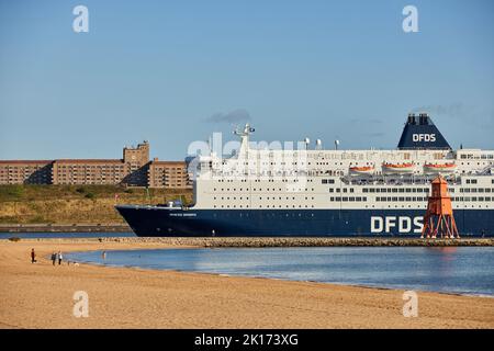 Littlehaven Beach South Shield MS Princess Seaways Cruiseferry Danese DFDS Seaways North Shields, Inghilterra, IJmuiden Paesi Bassi Foto Stock